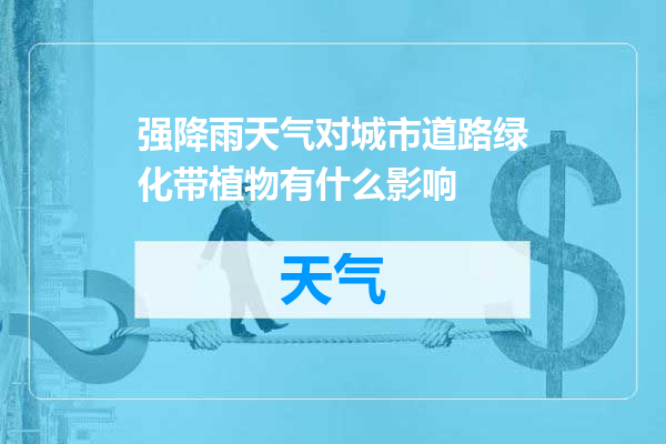强降雨天气对城市道路绿化带植物有什么影响
