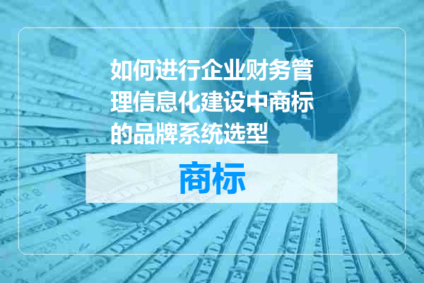 如何进行企业财务管理信息化建设中商标的品牌系统选型