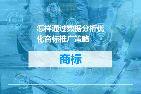 怎样通过数据分析优化商标推广策略