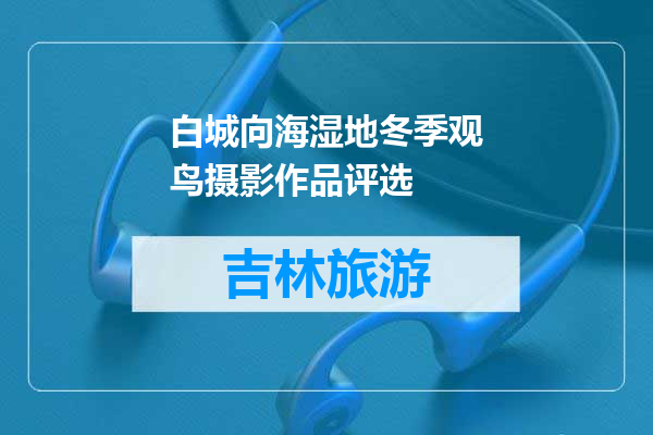 白城向海湿地冬季观鸟摄影作品评选