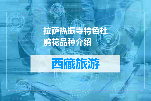 拉萨热振寺特色杜鹃花品种介绍