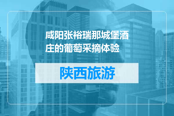 咸阳张裕瑞那城堡酒庄的葡萄采摘体验