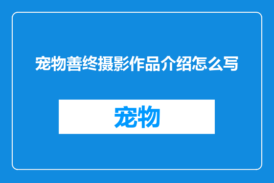 宠物善终摄影作品介绍怎么写