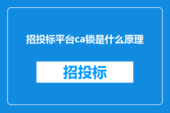 招投标平台ca锁是什么原理