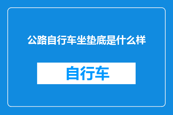 公路自行车坐垫底是什么样