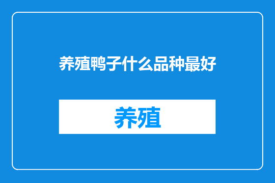 养殖鸭子什么品种最好