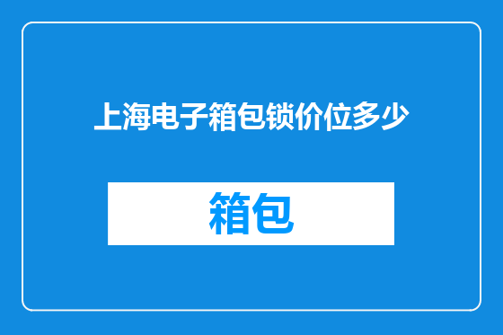 上海电子箱包锁价位多少