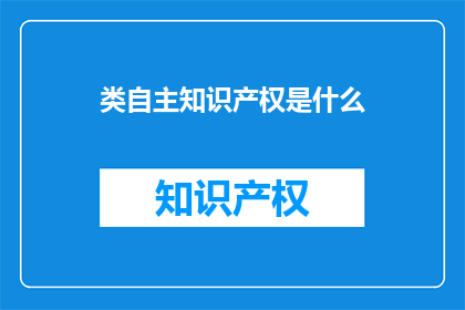 类自主知识产权是什么(什么是类自主知识产权？)