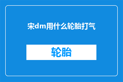 宋dm用什么轮胎打气(宋dm应选择哪种轮胎进行打气？)