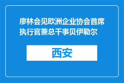 廖林会见欧洲企业协会首席执行官兼总干事贝伊勒尔