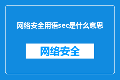 网络安全用语sec是什么意思(网络安全专家：什么是sec在网络术语中的含义？)