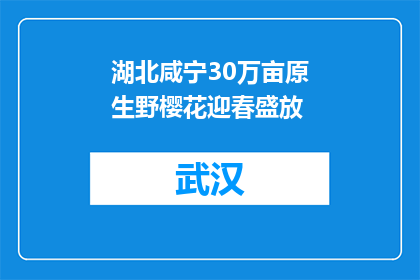 湖北咸宁30万亩原生野樱花迎春盛放
