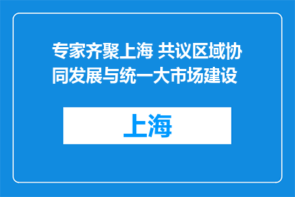 专家齐聚上海 共议区域协同发展与统一大市场建设