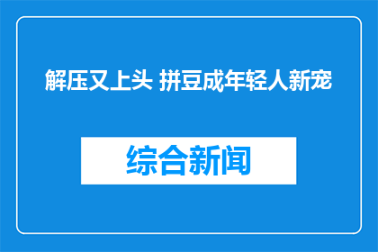 解压又上头 拼豆成年轻人新宠