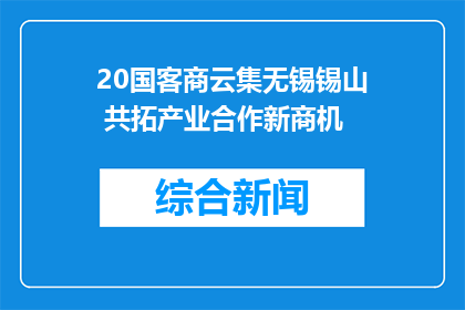 20国客商云集无锡锡山 共拓产业合作新商机