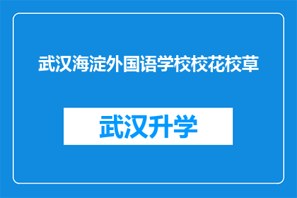 武汉海淀外国语学校校花校草(武汉海淀外国语学校的魅力焦点：谁是校园中的花魁与玉树？)
