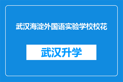 武汉海淀外国语实验学校校花(武汉海淀外国语实验学校的校花是谁？)