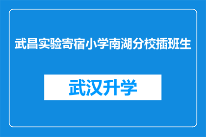 武昌实验寄宿小学南湖分校插班生(武昌实验寄宿小学南湖分校的插班生情况如何？)