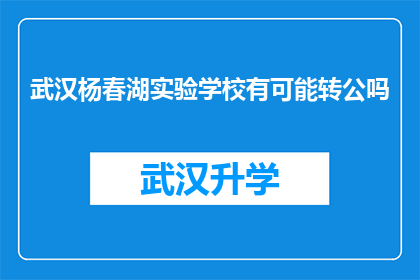 武汉杨春湖实验学校有可能转公吗(武汉杨春湖实验学校是否可能转为公立学校？)