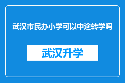 武汉市民办小学可以中途转学吗(武汉市民办小学中途转学的可能性探讨)
